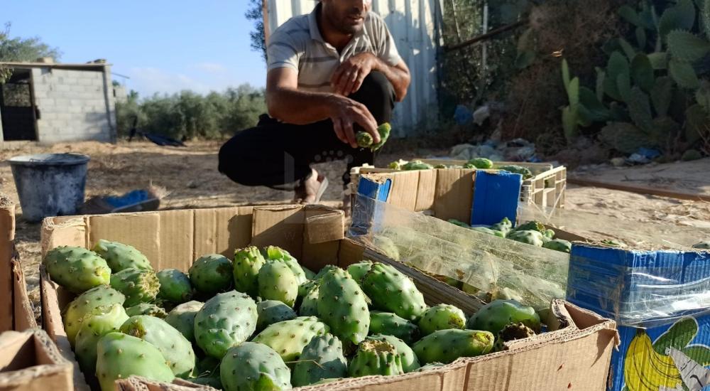 WhatsApp Image 2022-07-14 at 2.04.15 PM (1).jpg