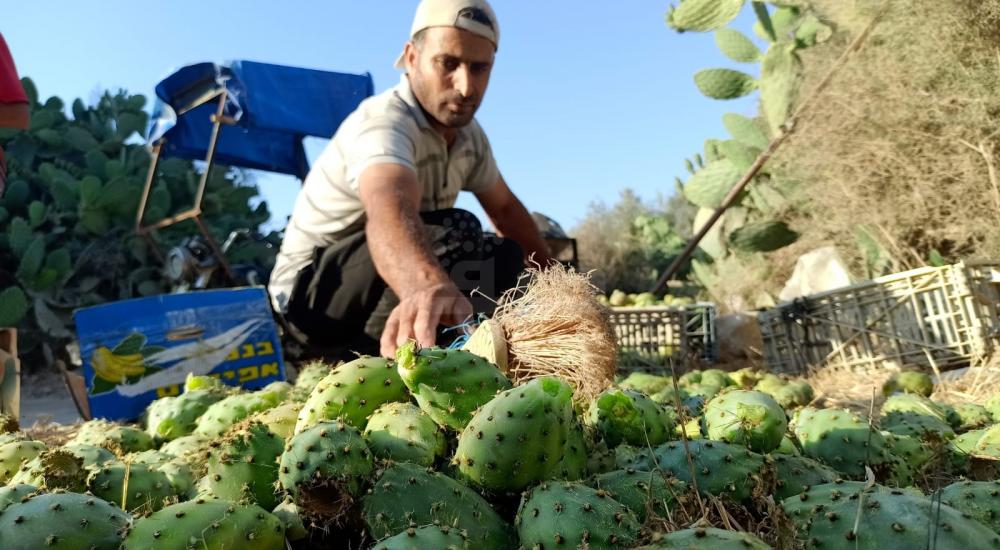 WhatsApp Image 2022-07-14 at 2.04.17 PM.jpg