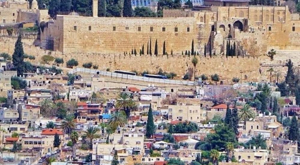 WhatsApp Image 2022-08-31 at 1.39.21 PM (1).jpeg