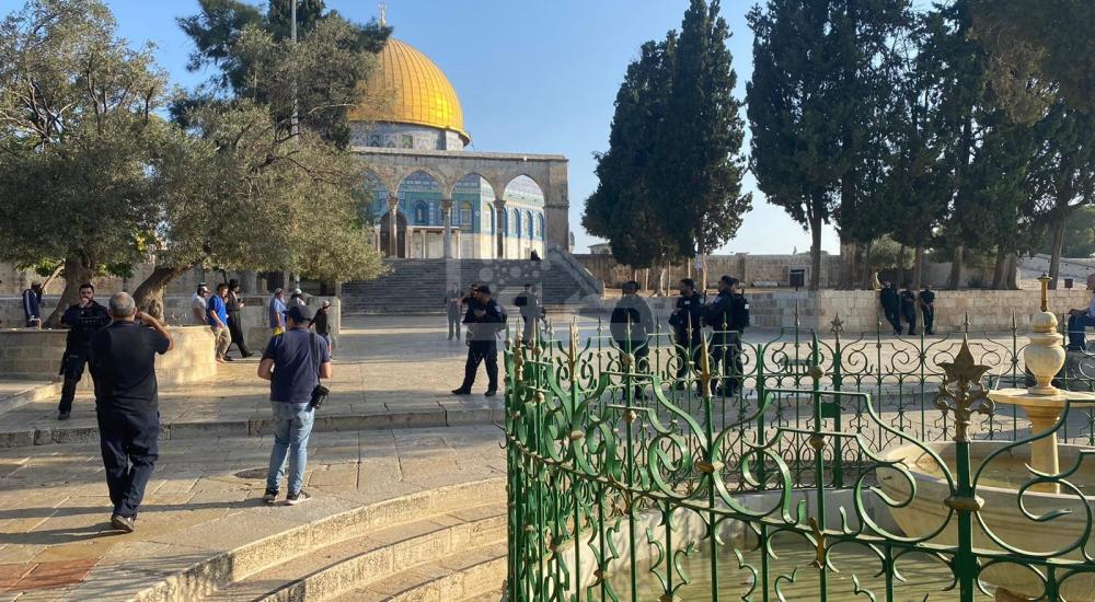 WhatsApp Image 2022-08-28 at 1.03.27 PM.jpg