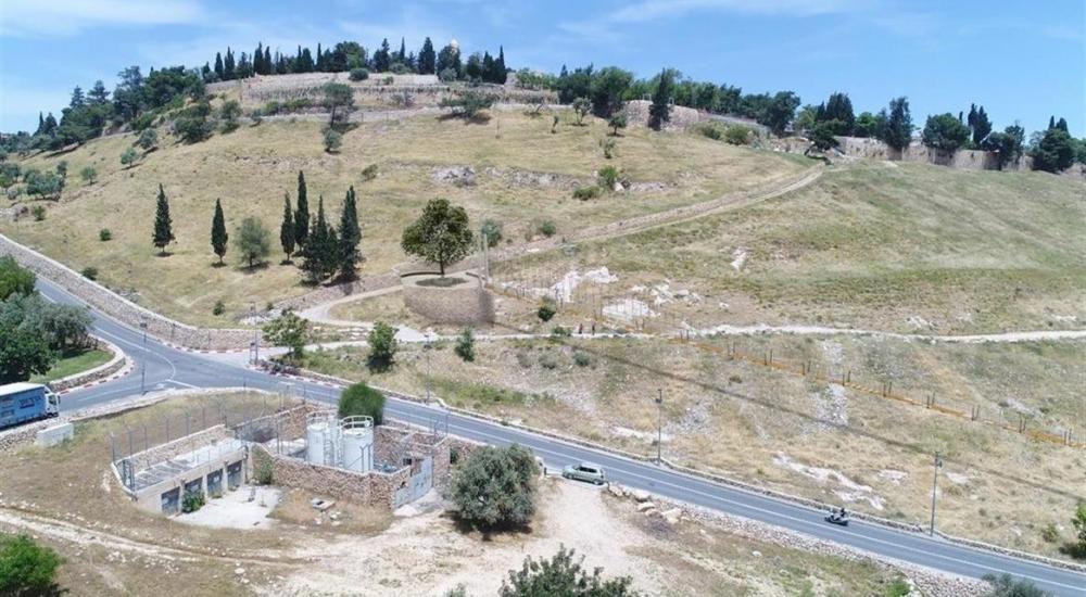 WhatsApp Image 2022-08-31 at 1.39.21 PM (2).jpeg