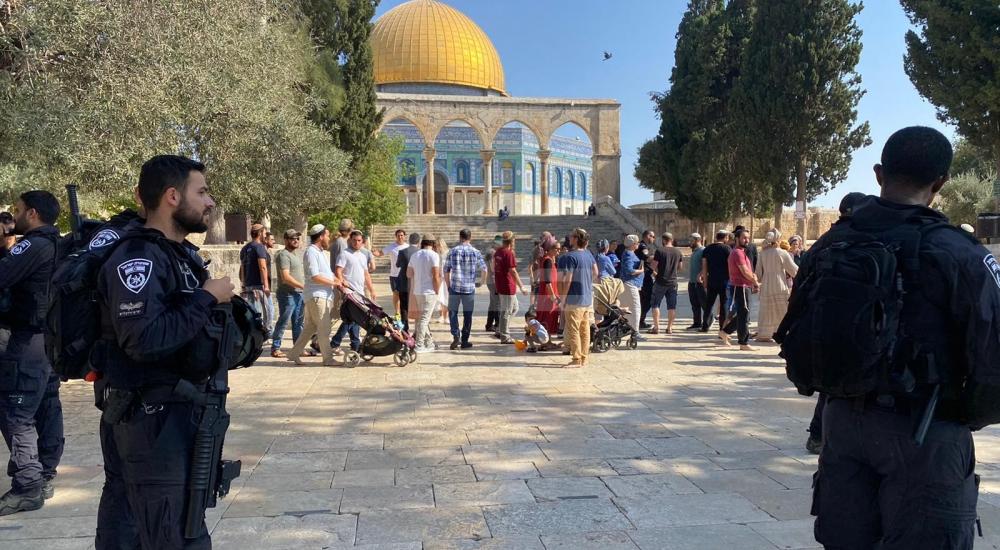 WhatsApp Image 2022-08-28 at 1.03.26 PM.jpg