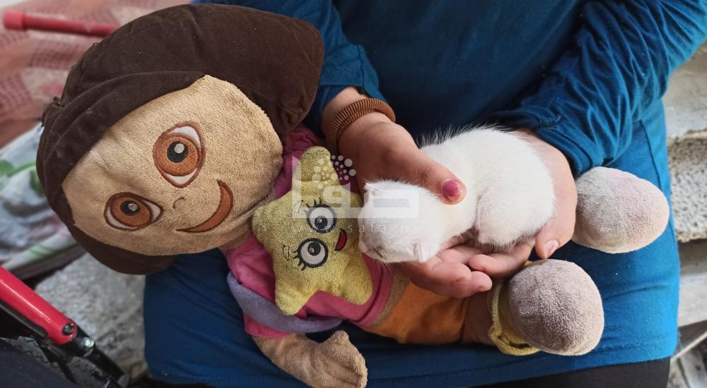 WhatsApp Image 2022-08-13 at 4.58.36 PM.jpg