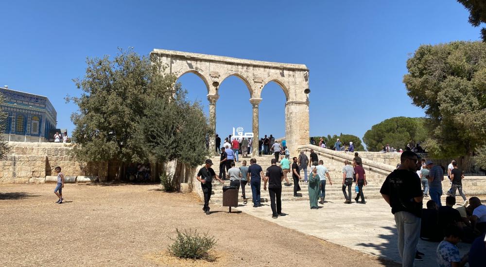 50bd5782-0ff6-4573-ba47-4837d15cdddc.jfif