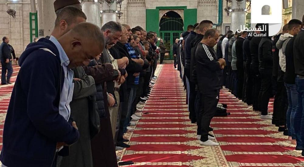 f68e01ec-276f-4456-96a5-1beb078e16af.jfif