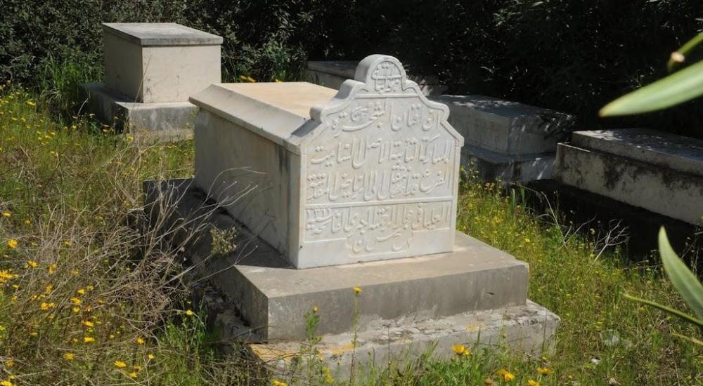 WhatsApp Image 2022-10-24 at 1.12.21 PM.jpeg