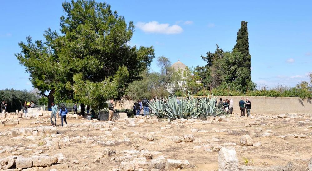 WhatsApp Image 2022-10-24 at 1.12.32 PM.jpeg