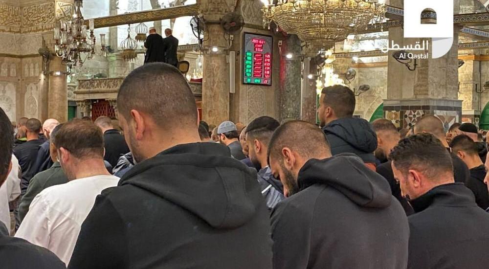 6688b28d-a792-44dd-8648-0cfcbdadd250.jfif