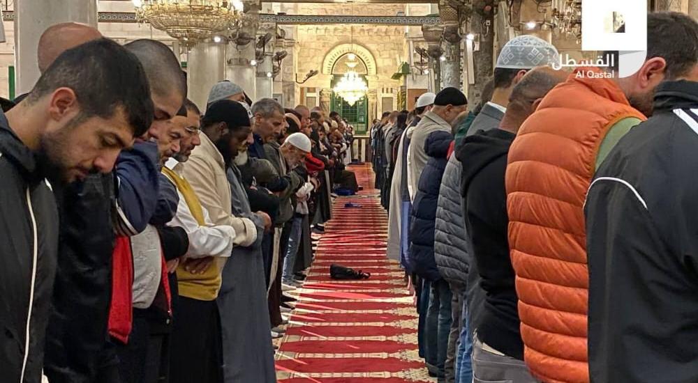 a065216b-fc98-4174-88e2-bf9faab1dafe.jfif