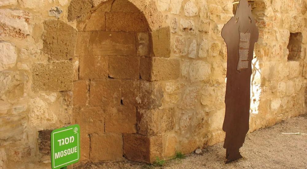 WhatsApp Image 2023-05-16 at 11.08.26 AM (2).jpeg