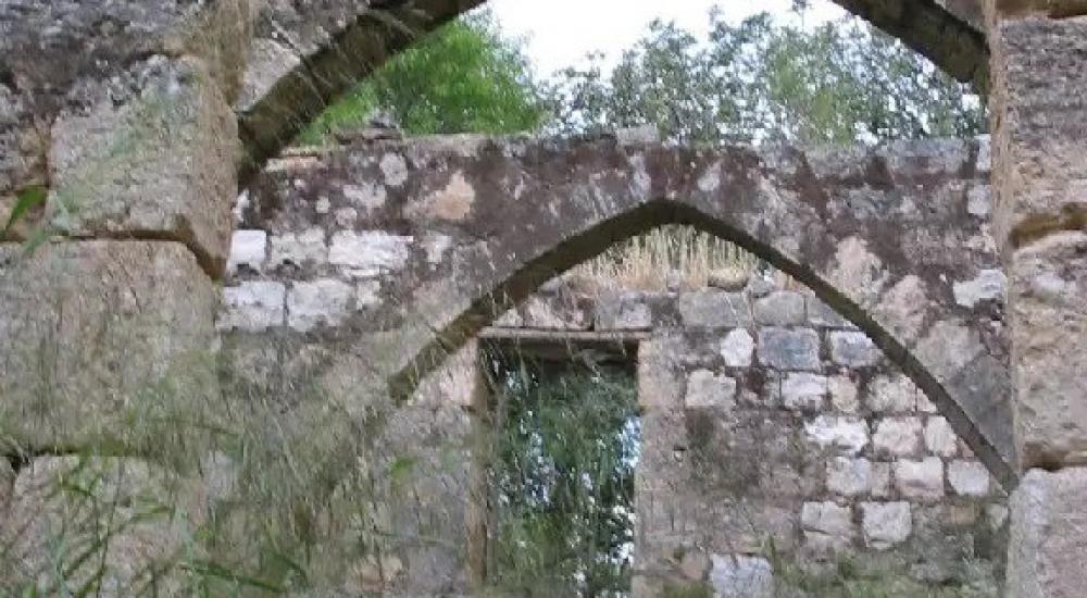 WhatsApp Image 2023-05-16 at 11.08.26 AM.jpeg