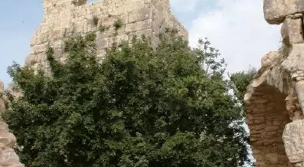 WhatsApp Image 2023-05-16 at 11.08.27 AM (5).jpeg