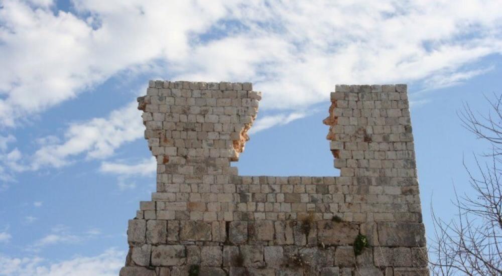 WhatsApp Image 2023-05-16 at 11.08.27 AM (1).jpeg