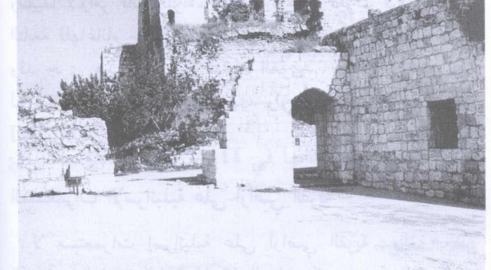 WhatsApp Image 2023-05-16 at 11.08.27 AM (4).jpeg