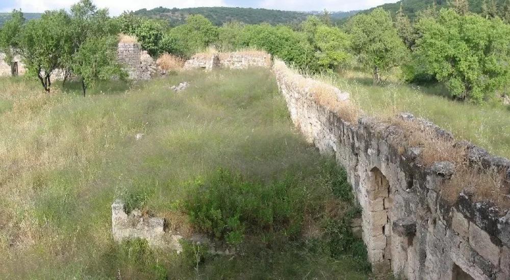 WhatsApp Image 2023-05-16 at 11.08.27 AM (3).jpeg