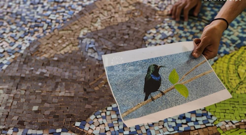 WhatsApp Image 2023-06-18 at 3.01.31 PM.jpg