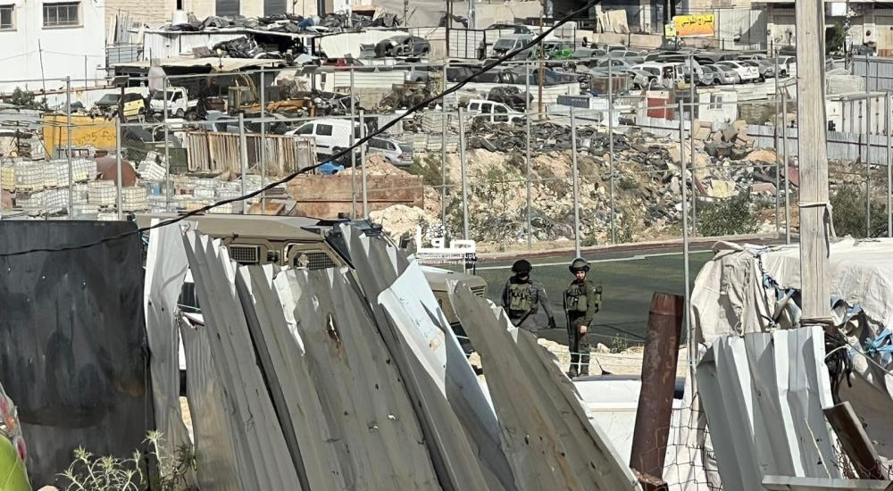 WhatsApp Image 2025-05-13 at 11.34.57 AM (1).jpeg