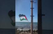 وقفة على شاطئ غزة تنديدًا باعتراض الاحتلال "أسطول الصمود العالمي" في المياه الدولية قبل وصوله للقطاع