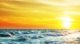 image-54335-1078x516