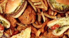 cd90d0742c0a192142ea7998c5db4d22