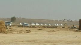 14877006_554380481438284_350351411_n