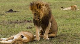 1ae32dfd-c54f-4f7f-974e-0582892602a0