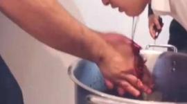 صورة من الفيديو 