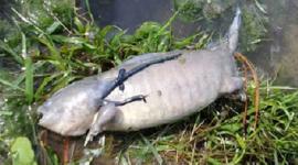 555b43b6c4618826358b45e6