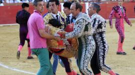تنزيل (11)
