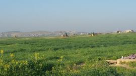 17155909_10208488882484601_8075441619601005444_n