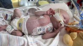 الطفل الامريكي