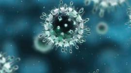 d063597a-3da5-4469-92f2-bbd5509641d2