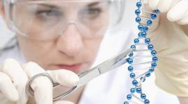 وقف استخدام التقنيات الجديدة لتعديل الجينوم البشري