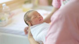 64030-shutterstock_570585205-1-1024x684