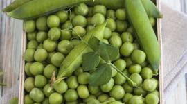 o-GREEN-PEAS-570