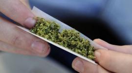 علاج-الحشيش