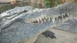 7c0b623a-02c7-4a05-9bbb-81b0205f5972_16x9_600x338