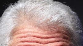 14_38ee8513a6ba34bd639c30da2faaaa05_15