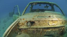 5698b8fbc36188a32b8b45bb