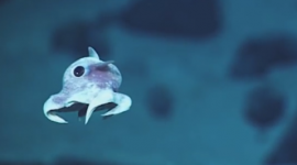 557c45fac46188232a8b45ee