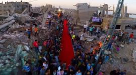 صورة من مهرجات السجادة الحمراء في 2015