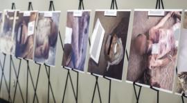 جثامين لاجئين