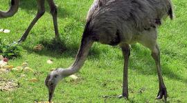 df90a281-c769-4d85-b514-beecf4cec59e_16x9_600x338