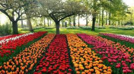 c01fc4f2-470b-4463-8e65-9c066c8d8514_16x9_600x338