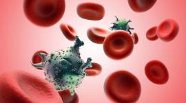  فيروس "أتش آي في" المسبب لمرض نقص المناعة المكتسب (أيدز)