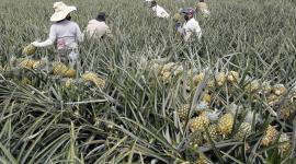 9494aed2-30b3-43e2-adab-9bf31b407ef2