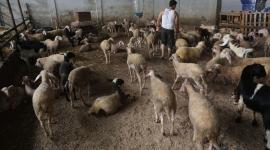 صورة ارشيفية