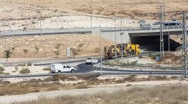 21730833_10209992222547163_3400139157503207189_n