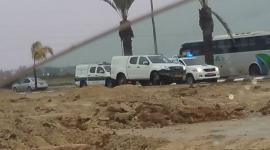 16708215_10208355748236328_6775730969259268102_n