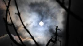 مشهد الكسوف في غزة